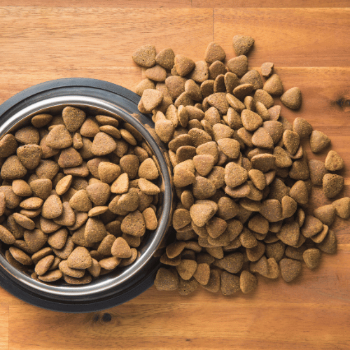 Barky Supplies Expert Tips Barky Supplies Expert Tips | Dogs Care Insights and Advice Dog Food