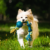 Barky Supplies Expert Tips FAQS Explained Succinctly | Your Guide to Common Questions Dog Toys