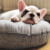 Barky Supplies Expert Tips FAQS Explained Succinctly | Your Guide to Common Questions Dog Beds