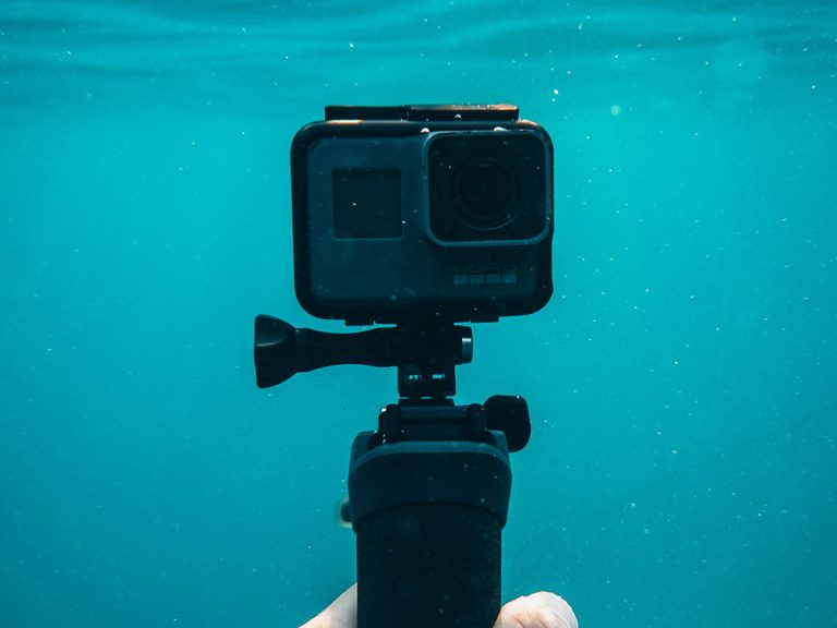 oliver sjostrom j oRbx 0aNA unsplash 3 Barky Supplies Expert Tips