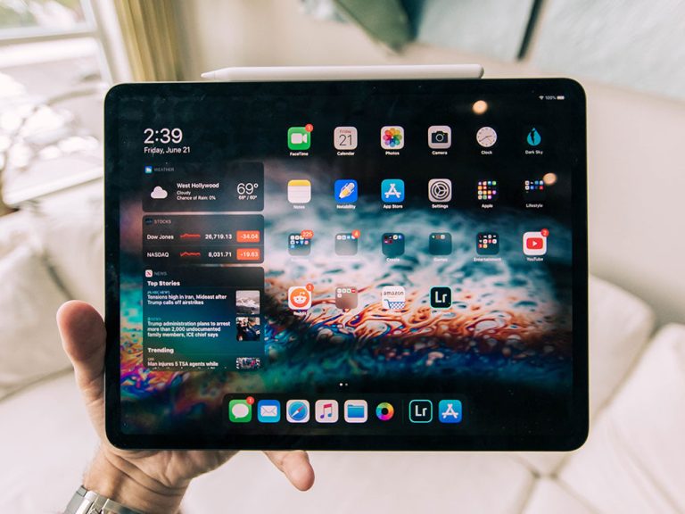 roberto nickson hLgYtX0rPgw unsplash Barky Supplies Expert Tips