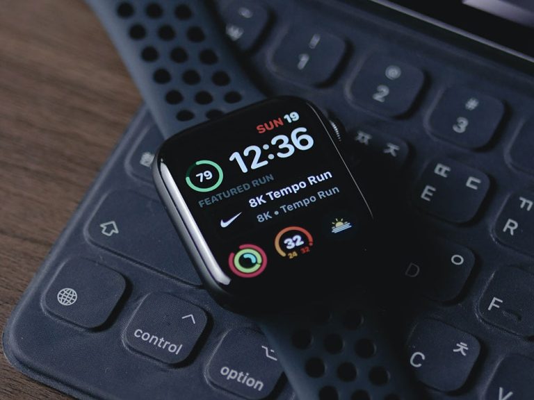 shiwa id iZVrfElG1t0 unsplash 3 Barky Supplies Expert Tips