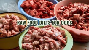 Increased energy and vitality
