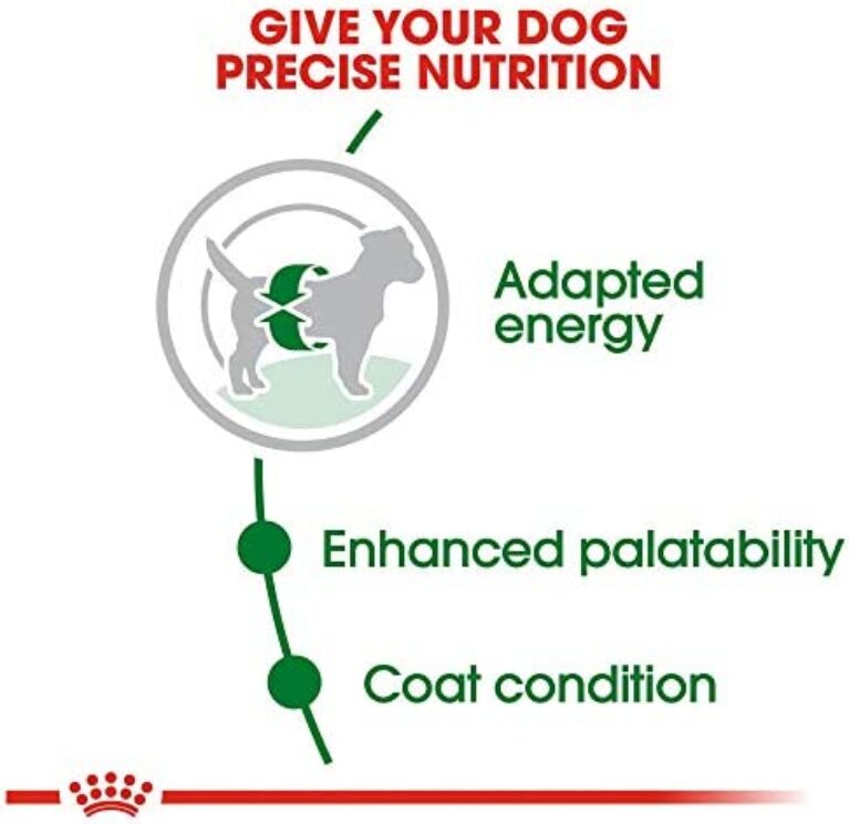 Royal Canin Small Breed Adult Dog Food - 14 lb bag