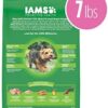 1683992365_41FKkLOL5yL._AC_.jpg IAMS Small & Toy Breed Adult Dry Dog Food - Real Chicken, 7 lb. Bag