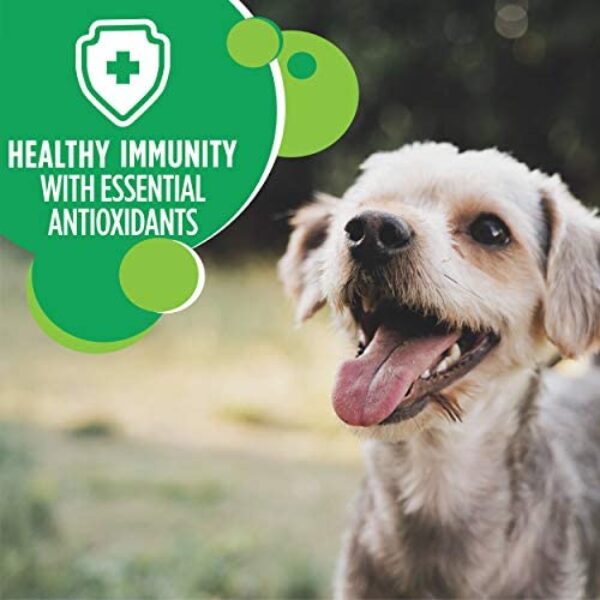 1683992369_41tVFGmw6kL._AC_.jpg IAMS Small & Toy Breed Adult Dry Dog Food - Real Chicken, 7 lb. Bag