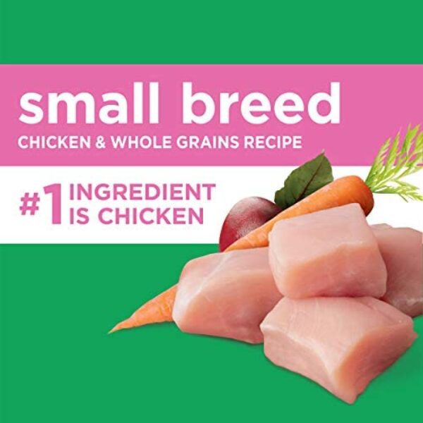 1683992374_41uIcj1JnqL._AC_.jpg IAMS Small & Toy Breed Adult Dry Dog Food - Real Chicken, 7 lb. Bag