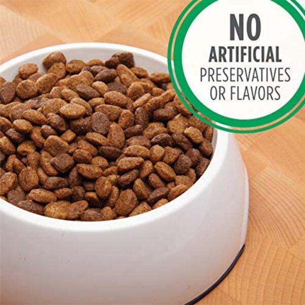 1683992399_51E2KQo1HL._AC_.jpg IAMS Small & Toy Breed Adult Dry Dog Food - Real Chicken, 7 lb. Bag