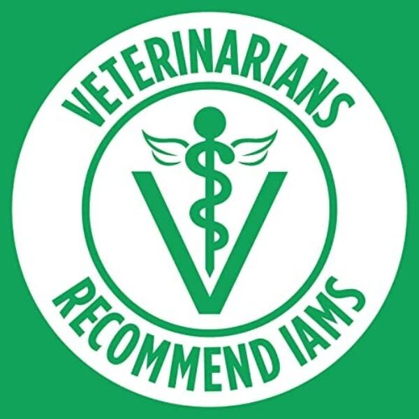 1683992411_51zJ8ZZLoBL._AC_.jpg IAMS Small & Toy Breed Adult Dry Dog Food - Real Chicken, 7 lb. Bag