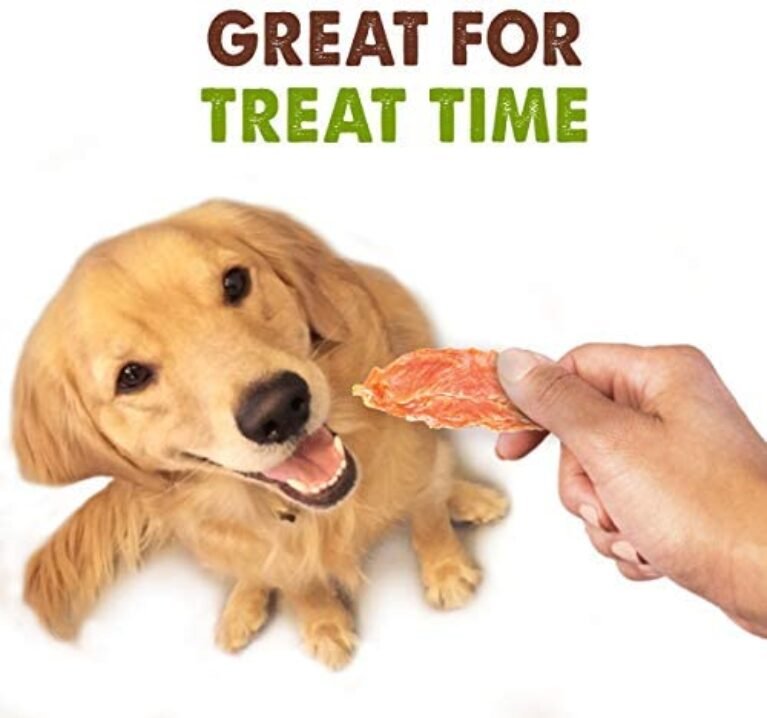 1684153390_41Z3ZkabHmL._AC_.jpg Waggin' Train Chicken Jerky Dog Treats - Limited Ingredient & Natural