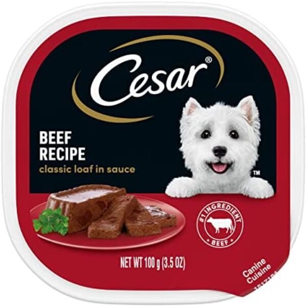 1684225688_51U4eP4hVFL._AC_.jpg CESAR Soft Wet Dog Food Loaf in Sauce Beef Recipe | Premium Nutrition for Dogs