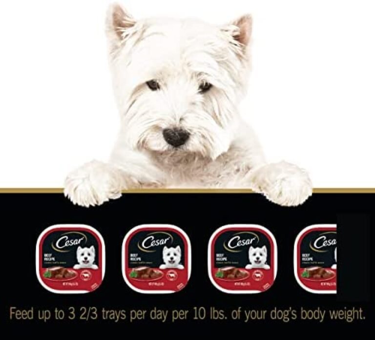 1684225716_41lC9lKAvKL._AC_.jpg CESAR Soft Wet Dog Food Loaf in Sauce Beef Recipe | Premium Nutrition for Dogs