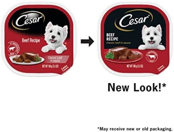 1684225739_41vN-T3TqCL._AC_.jpg CESAR Soft Wet Dog Food Loaf in Sauce Beef Recipe | Premium Nutrition for Dogs