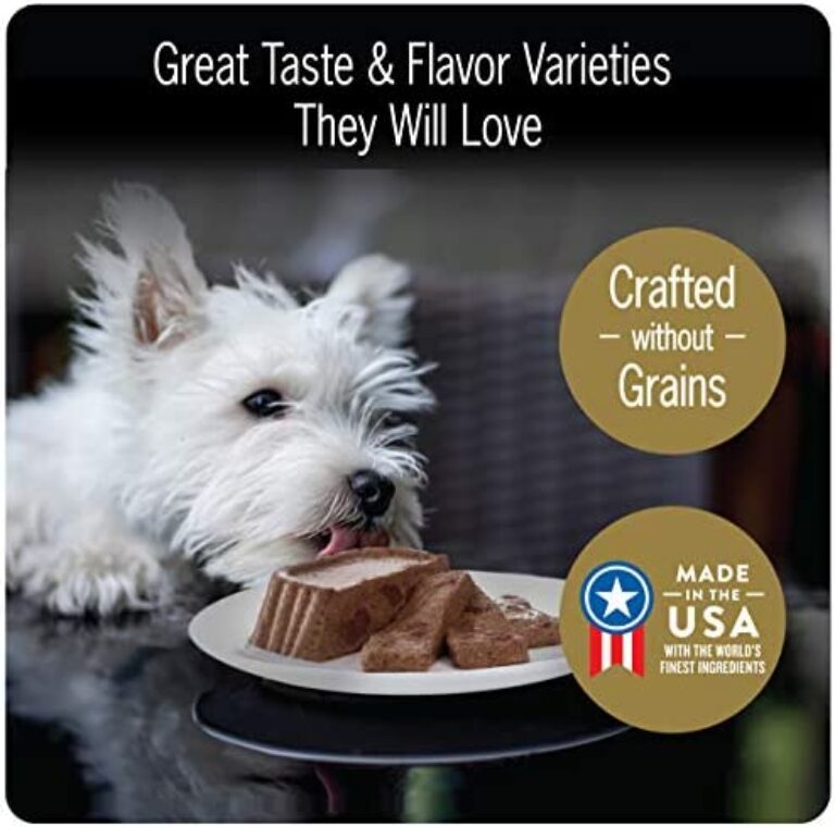 CESAR Gourmet Delights Wet Dog Food Variety Pack | Irresistible Flavors