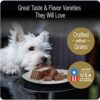 Premium Gourmet Dog Food Variety Pack | CESAR CLASSICS: Filet Mignon & Porterhouse Steak Flavors