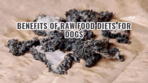 Increased energy and vitality
