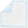 21VjU4n6xQS._AC_.jpg Amazon Basics Dog and Puppy Pee Pads - Quick-Dry Design | Hassle-Free Training