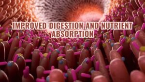 Improved digestion and nutrient absorption