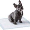 31iVBTwa8KL._AC_.jpg Amazon Basics Dog and Puppy Pee Pads - Quick-Dry Design | Hassle-Free Training