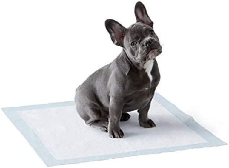 31iVBTwa8KL._AC_.jpg Amazon Basics Dog and Puppy Pee Pads - Quick-Dry Design | Hassle-Free Training