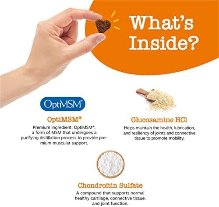 41nYIsPIfL._AC_.jpg Glucosamine for Dogs - Joint Health Soft Chews | Buy Now