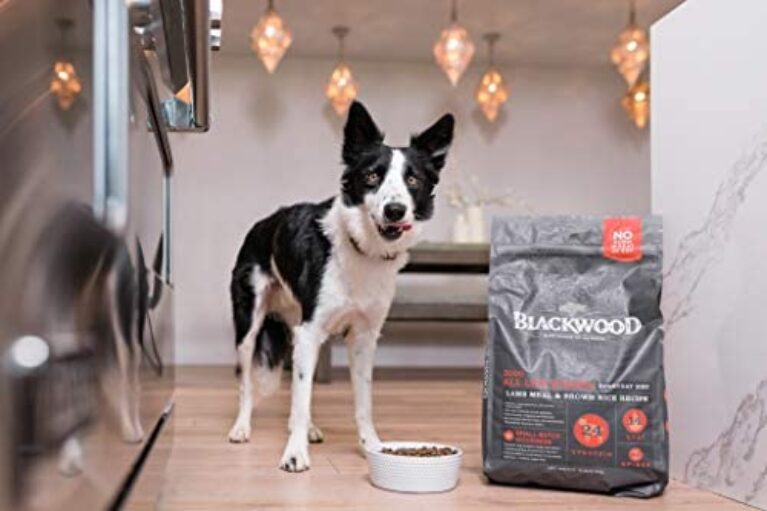 412ogbx79IL._AC_.jpg Premium Blackwood Dog Food: Natural Lamb Meal & Brown Rice Recipe
