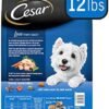 41GQ5760gVS._AC_.jpg CESAR Small Breed Dry Dog Food - Rotisserie Chicken Flavor with Spring Vegetables Garnish