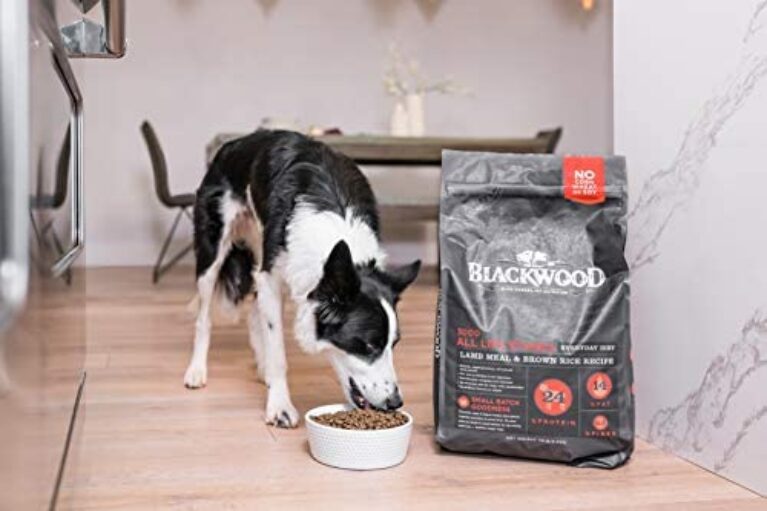 41HsVB2YLaL._AC_.jpg Premium Blackwood Dog Food: Natural Lamb Meal & Brown Rice Recipe