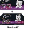 Premium Gourmet Dog Food Variety Pack | CESAR CLASSICS: Filet Mignon & Porterhouse Steak Flavors