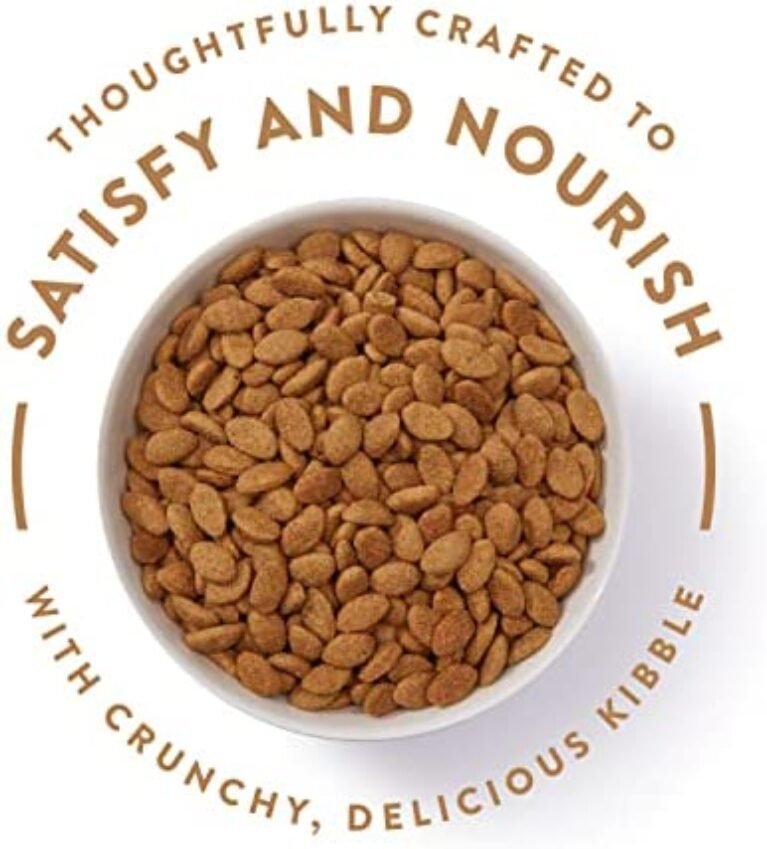 41TzM02uS3L._AC_.jpg Nutro Ultra Adult High Protein Natural Dry Dog Food - Chicken, Lamb, and Salmon, 4 lb Bag