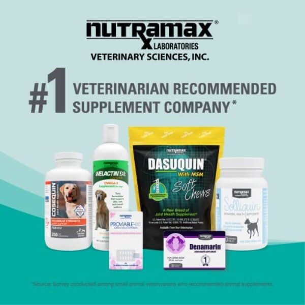 Revitalize Your Dog's Joints with Nutramax Dasuquin Joint Health Supplement