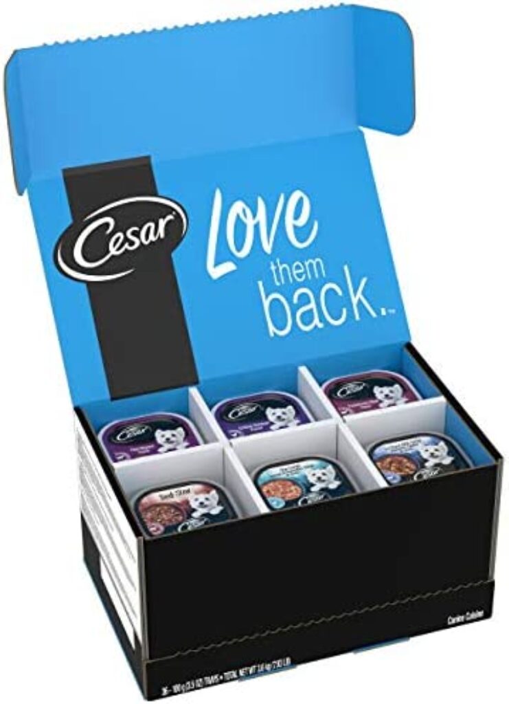 CESAR Gourmet Delights Wet Dog Food Variety Pack | Irresistible Flavors