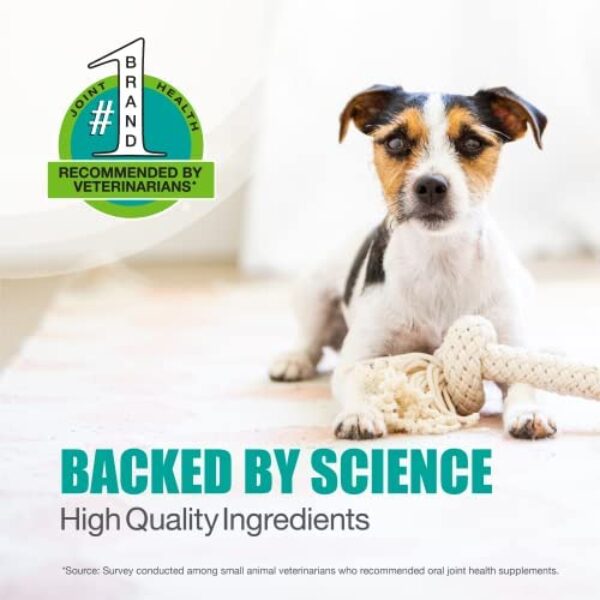 Revitalize Your Dog's Joints with Nutramax Dasuquin Joint Health Supplement