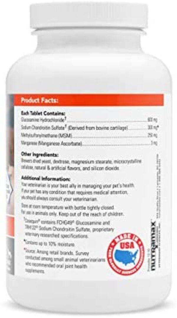 Dog Socks with Grip: Enhance Your Dog's Traction and Comfort