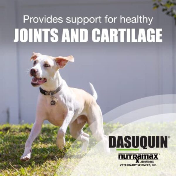 Revitalize Your Dog's Joints with Nutramax Dasuquin Joint Health Supplement