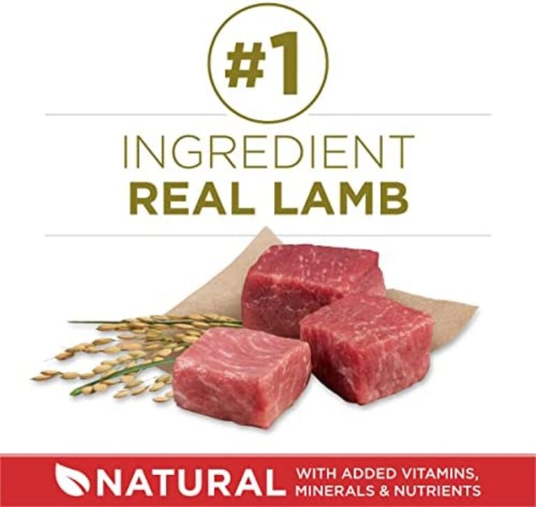 Purina ONE Dry Dog Food with Lamb and Rice Formula: Premium Nutrition for Dogs