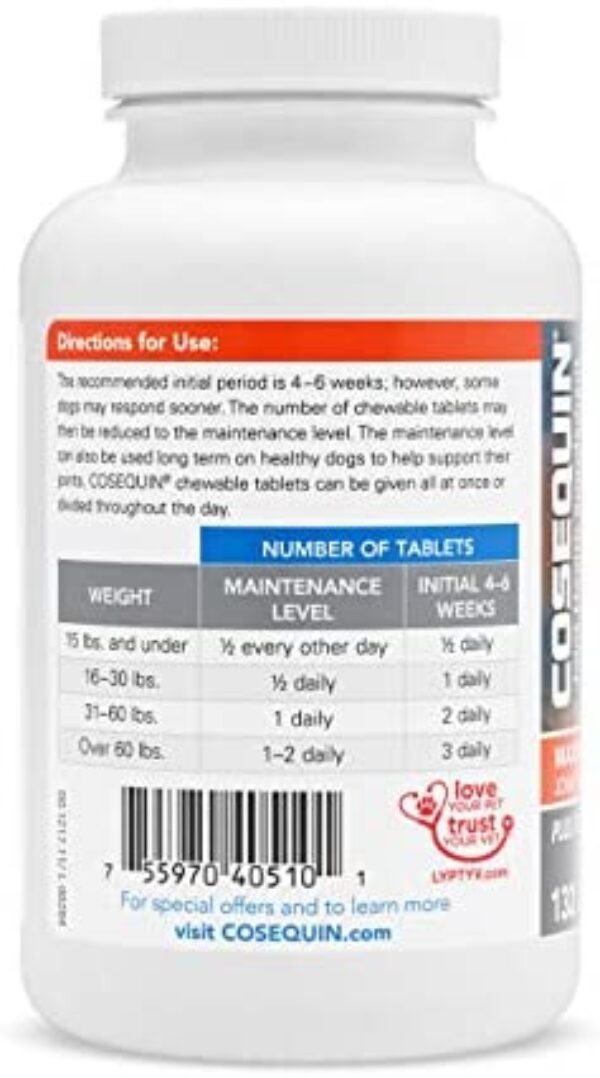 Dog Socks with Grip: Enhance Your Dog's Traction and Comfort