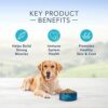 Blue Buffalo Life Protection Formula Natural Adult Dry Dog Food - Buy Now!
