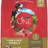 Purina ONE Dry Dog Food with Lamb and Rice Formula: Premium Nutrition for Dogs