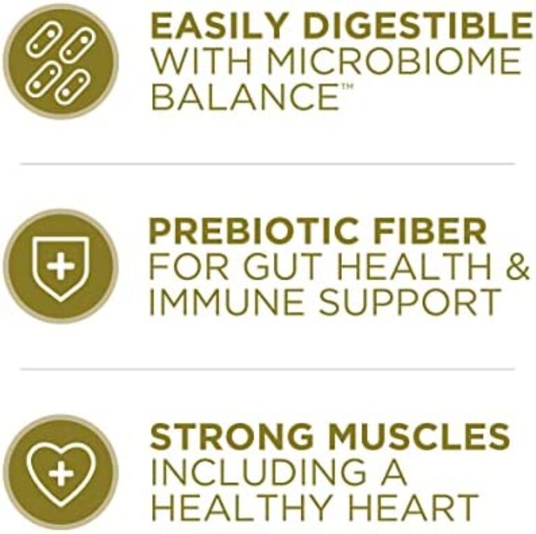 Purina ONE Dry Dog Food with Lamb and Rice Formula: Premium Nutrition for Dogs