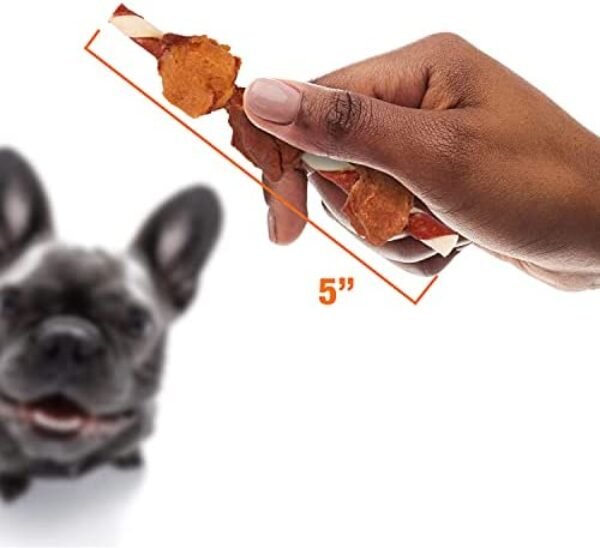 41y0LXK2m-L._AC_.jpg Good'N'Fun Triple Flavored Rawhide Kabobs for Dogs - Irresistible Treats for Your Pup