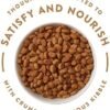 41yaVTQ97DL._AC_.jpg High Protein Dog Food - NUTRO ULTRA Adult Large Breed Natural Dry Dog Food