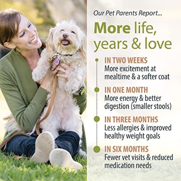 Premium Human Grade Variety Pack for Dogs | Gourmet Dog Food