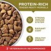 Purina ONE Dry Dog Food with Lamb and Rice Formula: Premium Nutrition for Dogs