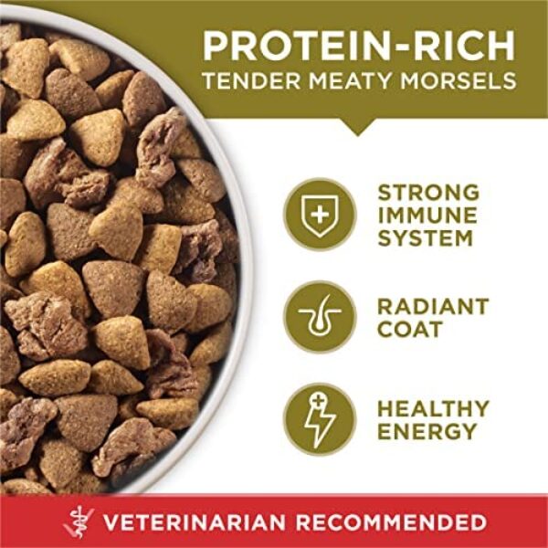 Purina ONE Dry Dog Food with Lamb and Rice Formula: Premium Nutrition for Dogs