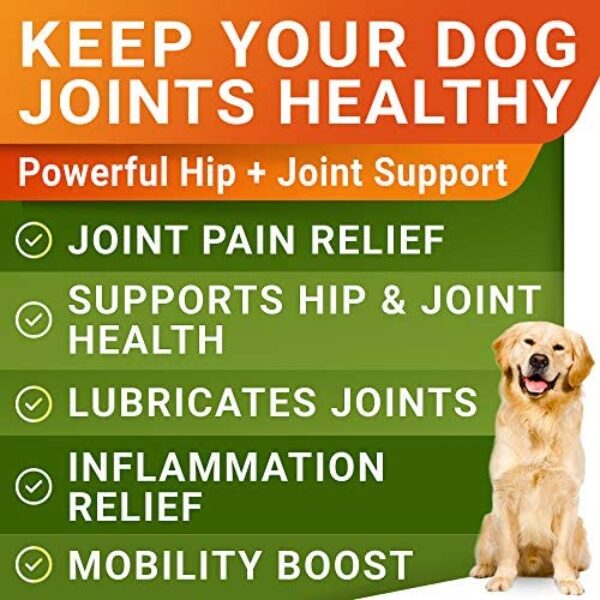 Glucosamine Treats for Dogs with Joint Supplement: Enhance Mobility & Flexibility