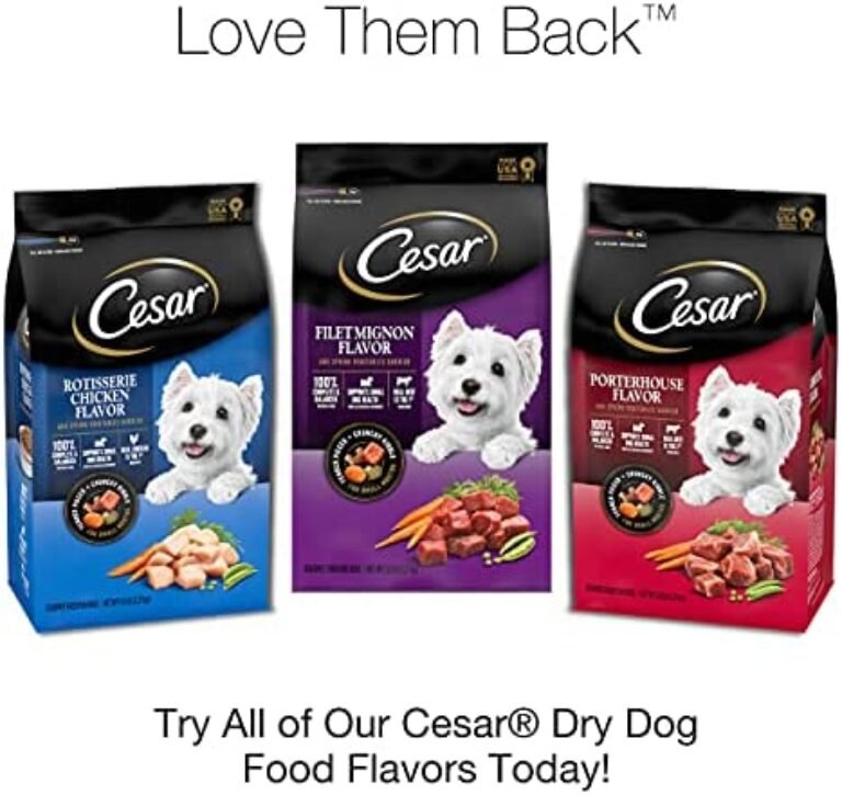 513jIvofVTS._AC_.jpg CESAR Small Breed Dry Dog Food - Rotisserie Chicken Flavor with Spring Vegetables Garnish