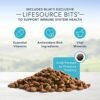 Blue Buffalo Life Protection Formula Natural Adult Dry Dog Food - Buy Now!