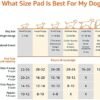 519uCTe0GGL._AC_.jpg Amazon Basics Dog and Puppy Pee Pads - Quick-Dry Design | Hassle-Free Training