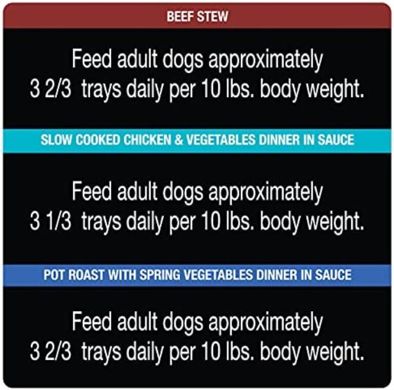 CESAR Gourmet Delights Wet Dog Food Variety Pack | Irresistible Flavors